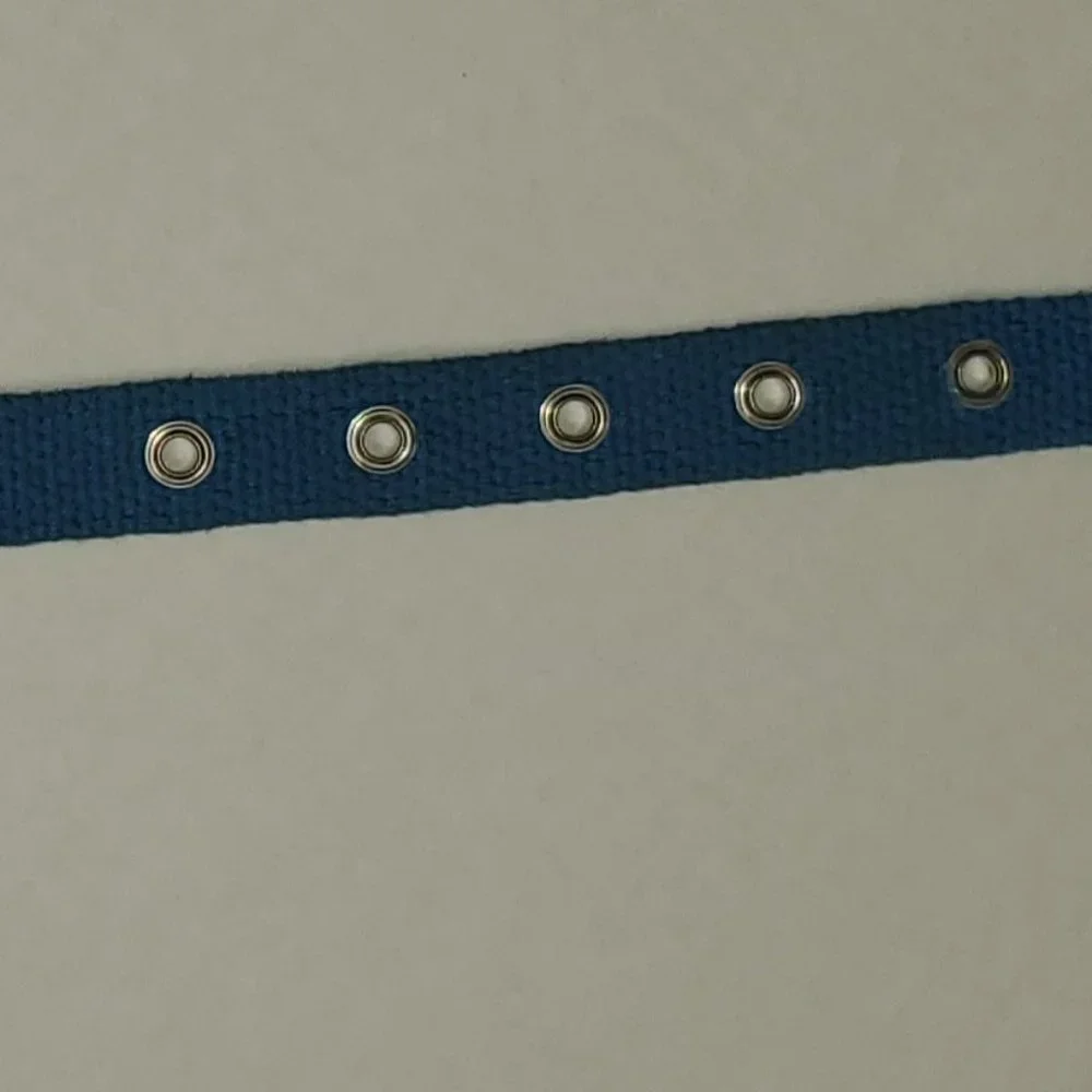 HTF Victoria Secret Pink RARE Dog Collar Vintage 2000's Aqua Blue Sooo Pretty - Picture 3 of 10